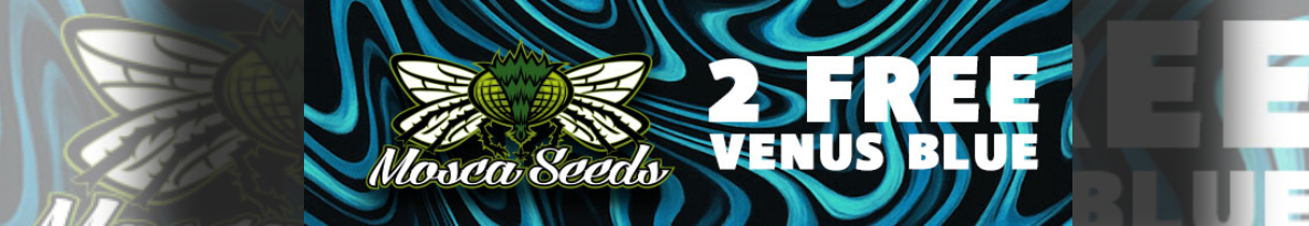 Mosca Seeds Cannabis Seeds UK