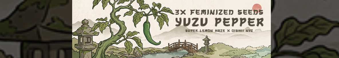 EZ Genetics Cannabis Seeds UK