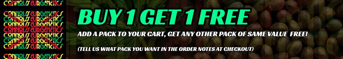 Connoisseur Genetics Seeds Cannabis Seeds UK