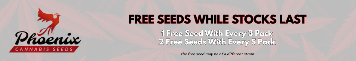 Phoenix Seeds Cannabis Seeds UK