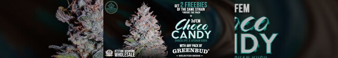 Greenbud Seeds Cannabis Seeds UK