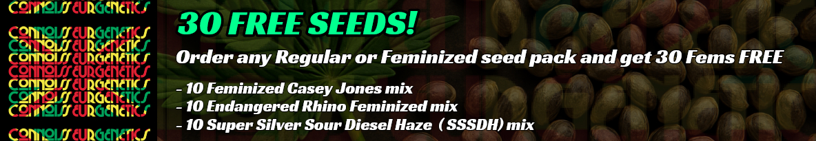 Connoisseur Genetics Seeds Cannabis Seeds UK