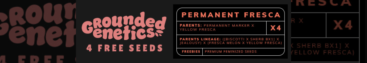 Grounded Genetics Cannabis Seeds UK