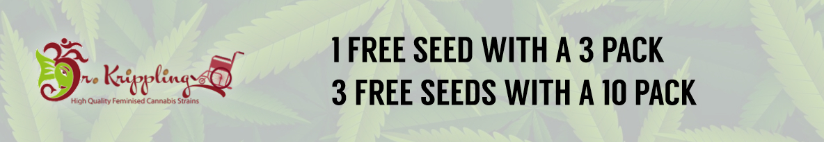 Dr Krippling Seeds Cannabis Seeds UK
