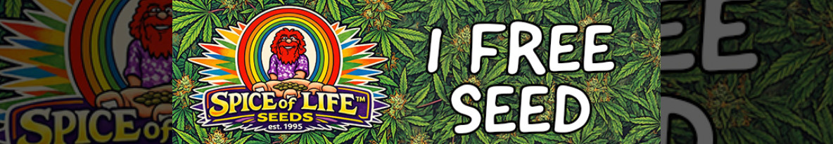 Spice of Life Seeds Cannabis Seeds UK