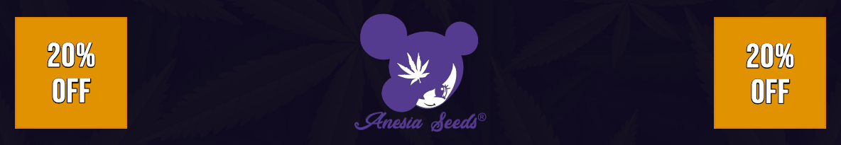 Anesia Seeds Cannabis Seeds UK