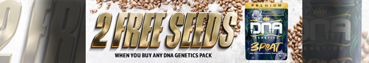 DNA Genetics Seeds Cannabis Seeds UK