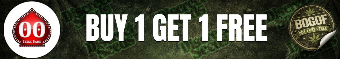 00 Seeds Cannabis Seeds UK