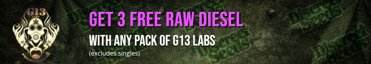 G13 Labs Seeds Cannabis Seeds UK