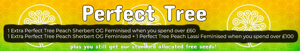 Perfect tree seeds Cannabis Seeds UK