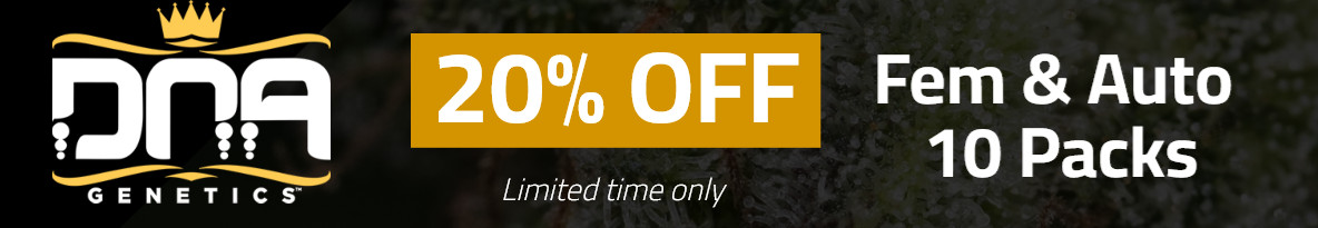 DNA Genetics Seeds Cannabis Seeds UK