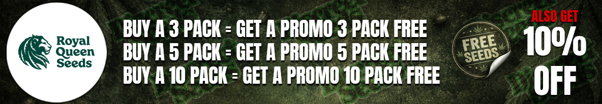 Royal Queen Seeds Cannabis Seeds UK