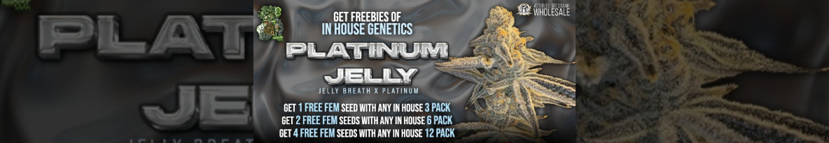 In House Genetics Cannabis Seeds UK
