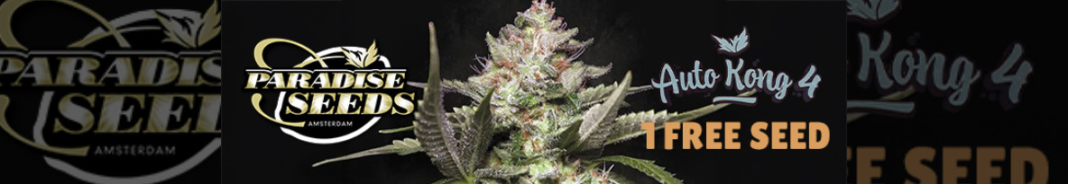 Paradise Seeds Cannabis Seeds UK