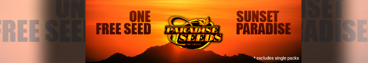 Paradise Seeds Cannabis Seeds UK