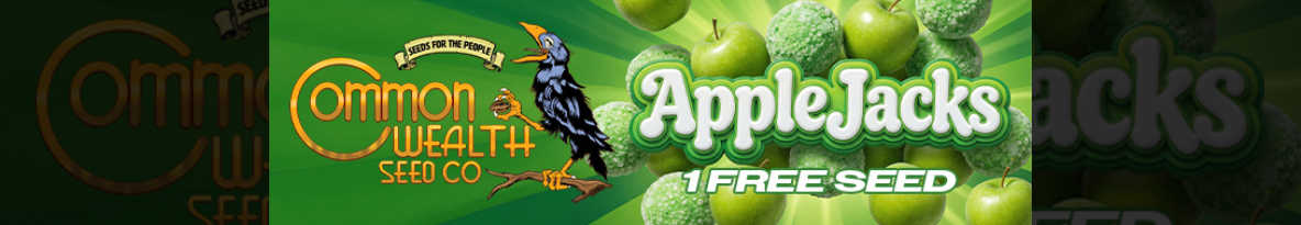 Common Wealth Seed Co Cannabis Seeds UK