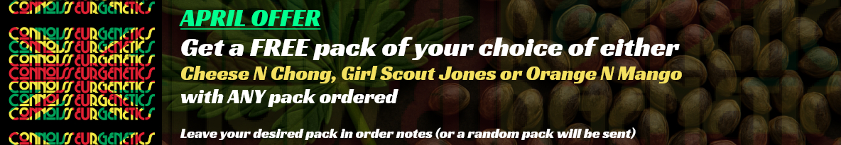 Connoisseur Genetics Seeds Cannabis Seeds UK