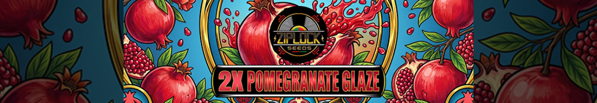 Ziplock Seeds Cannabis Seeds UK