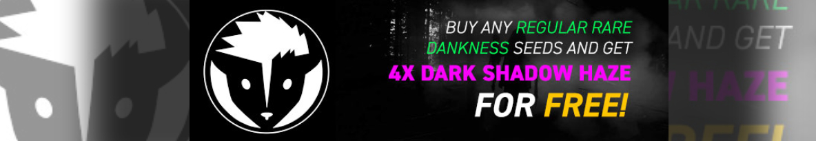 Rare Dankness Seeds Cannabis Seeds UK
