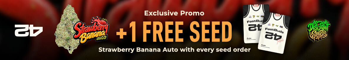Fast Buds Seeds Cannabis Seeds UK