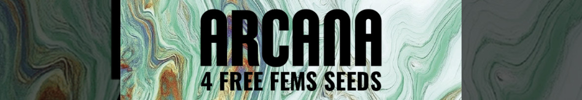 Arcana Collective Cannabis Seeds UK
