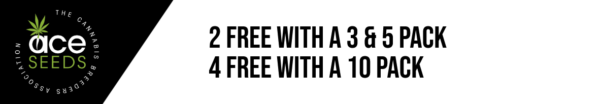 Ace Seeds Cannabis Seeds UK
