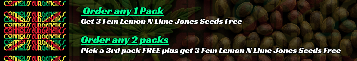 Connoisseur Genetics Seeds Cannabis Seeds UK