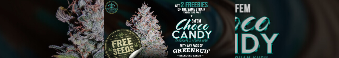 Greenbud Seeds Cannabis Seeds UK