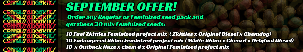 Connoisseur Genetics Seeds Cannabis Seeds UK