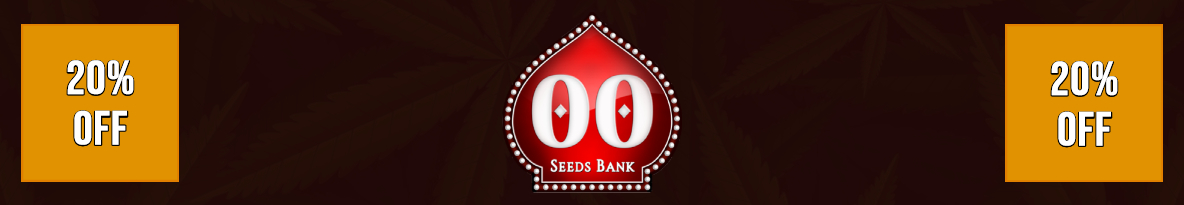 00 Seeds Cannabis Seeds UK
