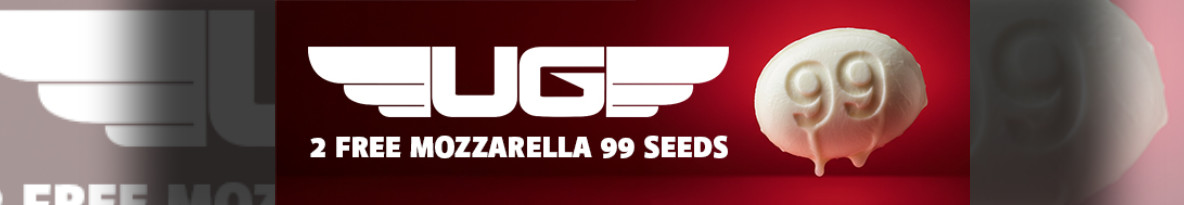 Ultra Genetics Seeds Cannabis Seeds UK