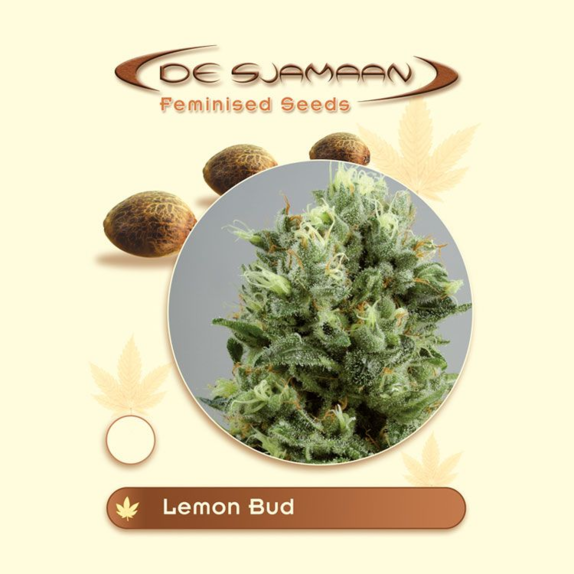 Lemon Bud Cannabis Seeds