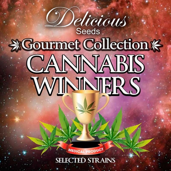 Cannabis Winners Mix #1  Cannabis Seeds