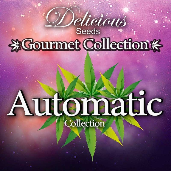 Gourmet Auto Mix #2 Cannabis Seeds