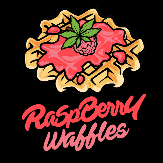 Raspberry Waffles Cannabis Seeds
