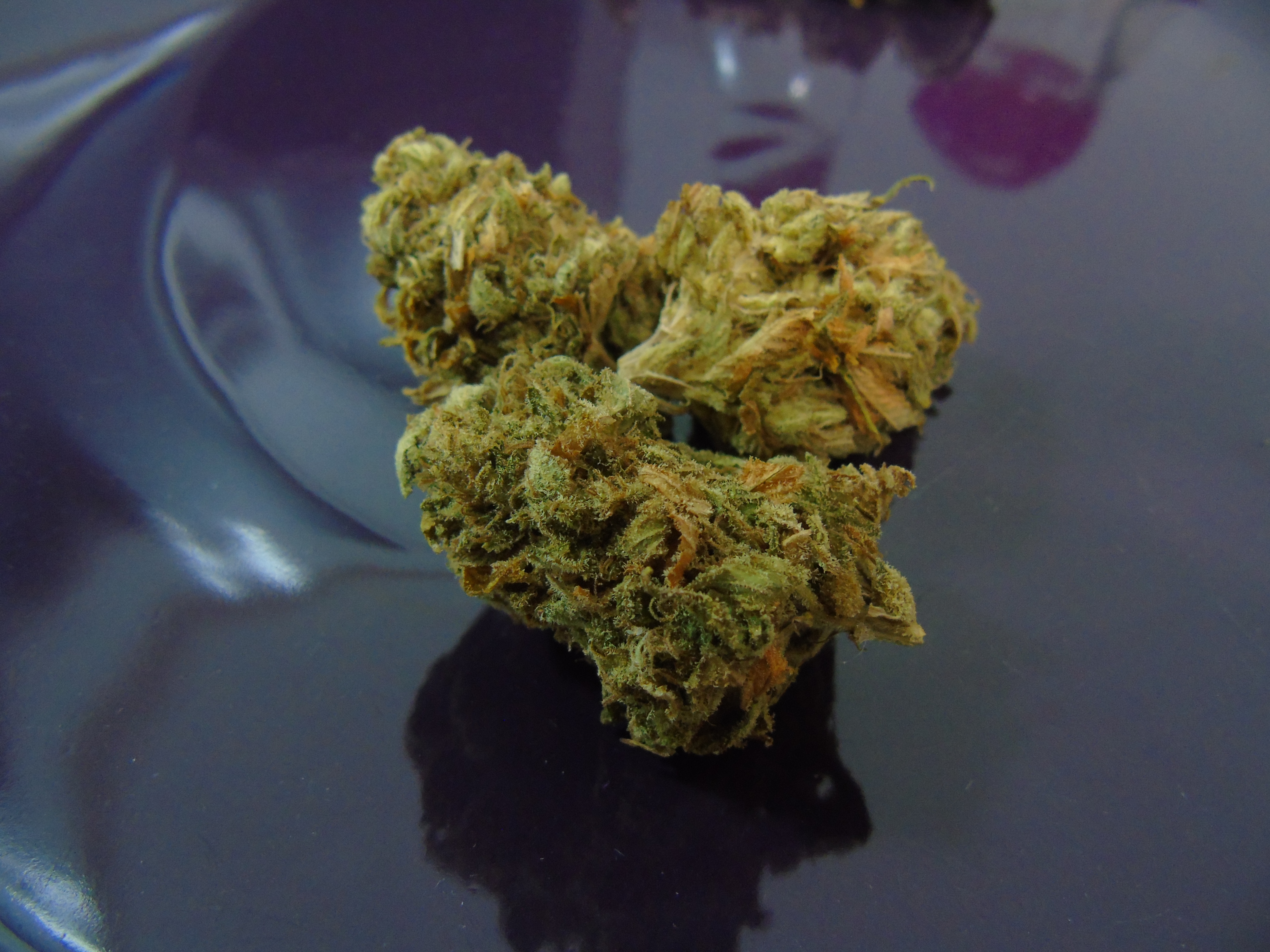 Gorilla OG Cannabis Seeds