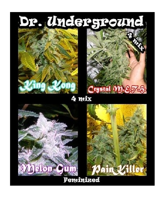 Killer Mix Cannabis Seeds