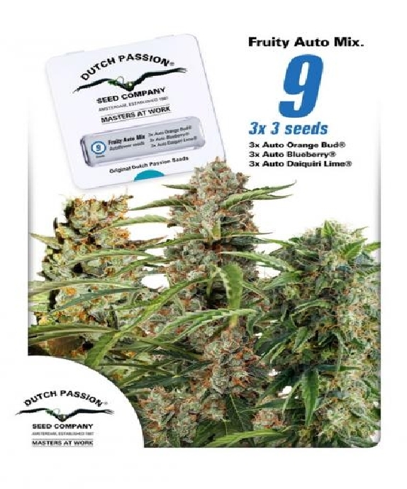 Fruity Auto Mix Cannabis Seeds