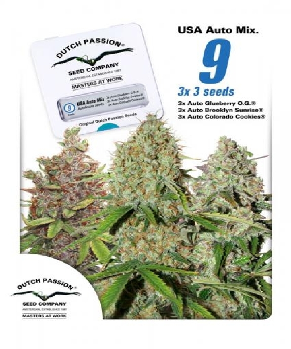 USA Autoflower Mix Cannabis Seeds