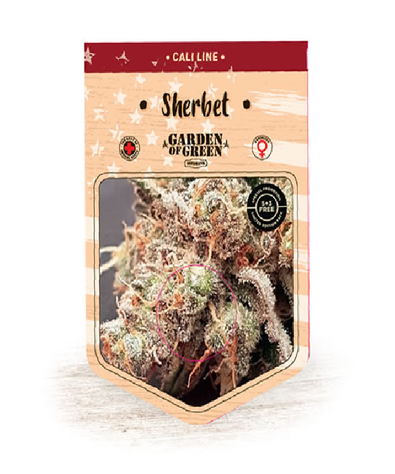 Sherbert Cannabis Seeds