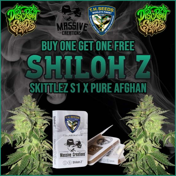 Shiloh Z Massive Creations x Cannabis Seeds