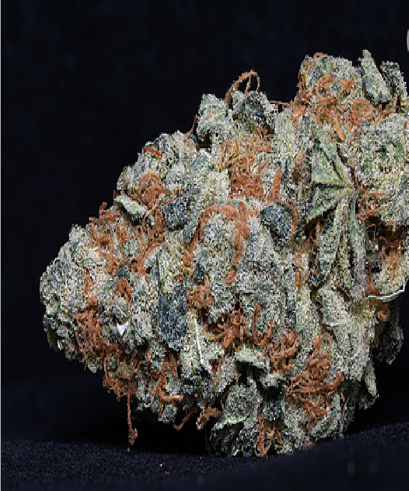 Cookie Dawg Cannabis Seeds