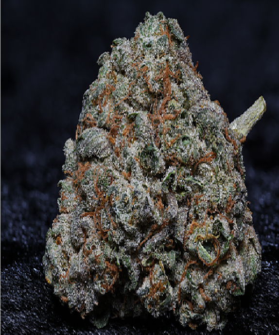 Fire OG Kush Cannabis Seeds