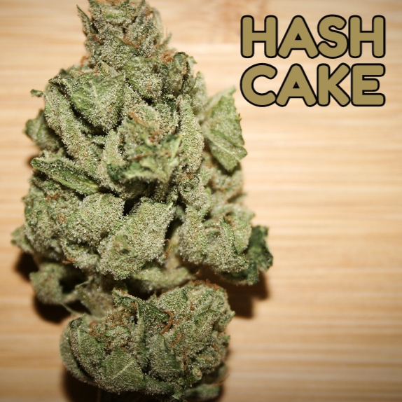 Hash Cake Feminised Cannabis Seeds
