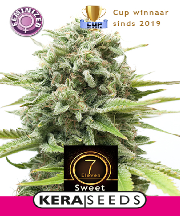 Sweet Seven Eleven Cannabis Seeds