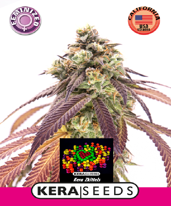 Zkittels Cannabis Seeds