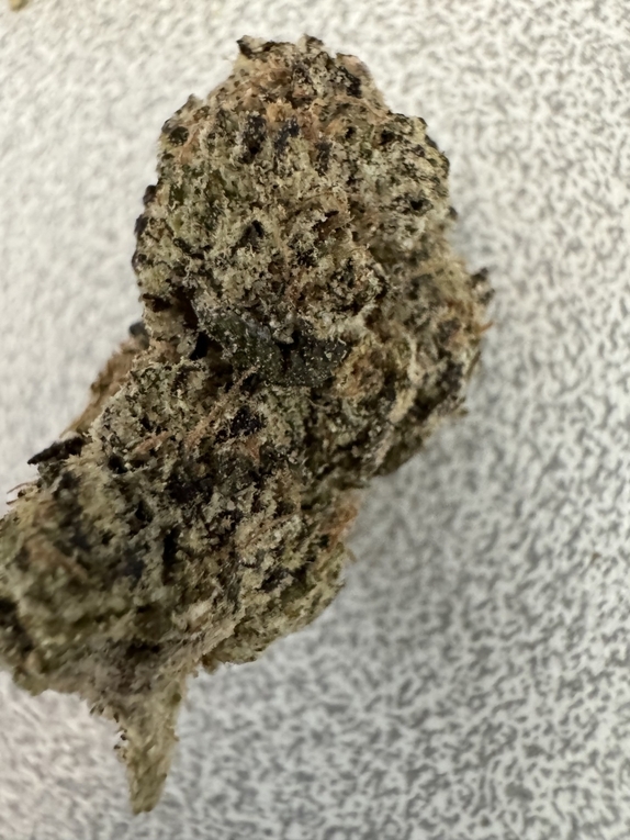 Dark Devil Auto Cannabis Seeds