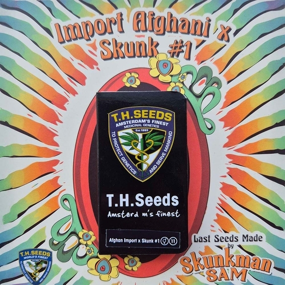 Import Afghani x Skunk 1 Regular Cannabis Seeds