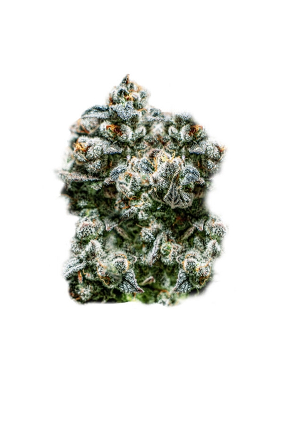 Runtz Auto Cannabis Seeds