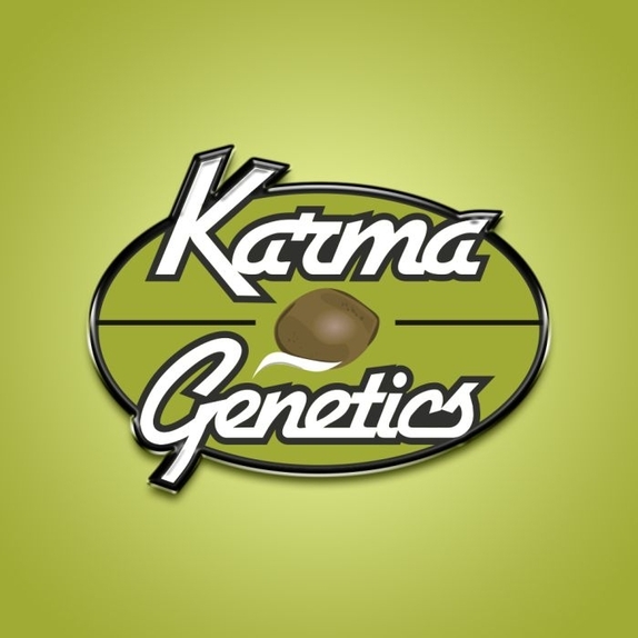 Trop Drops Feminized Cannabis Seeds